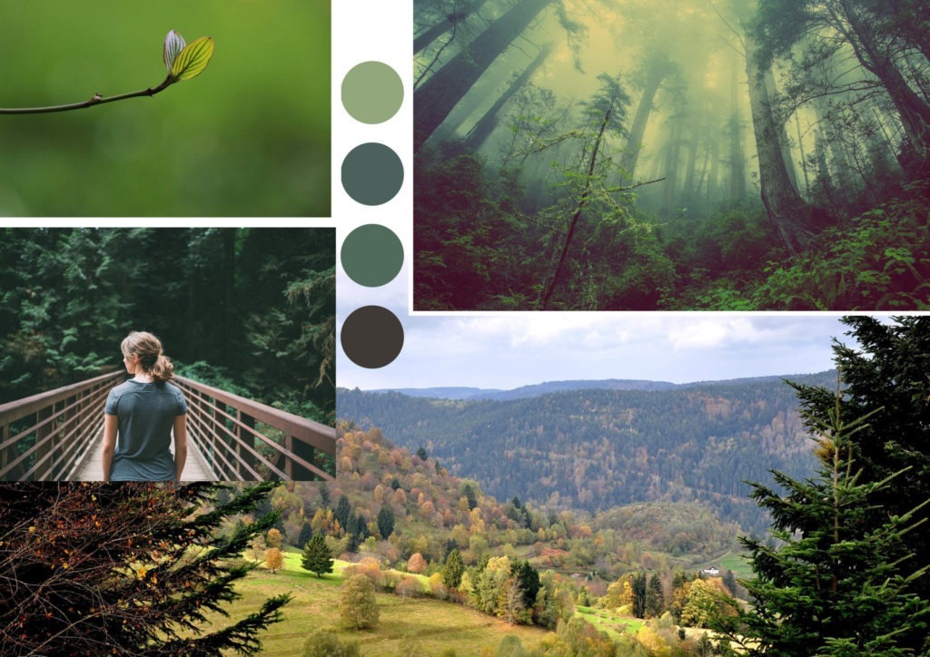 Moodboard nature