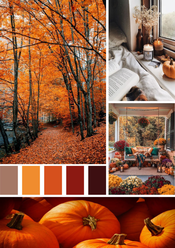 Moodboard automne