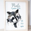 affiche naissance raton laveur cadre