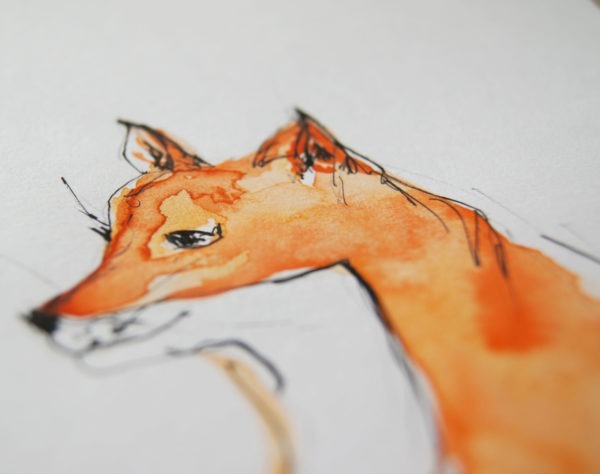 renard