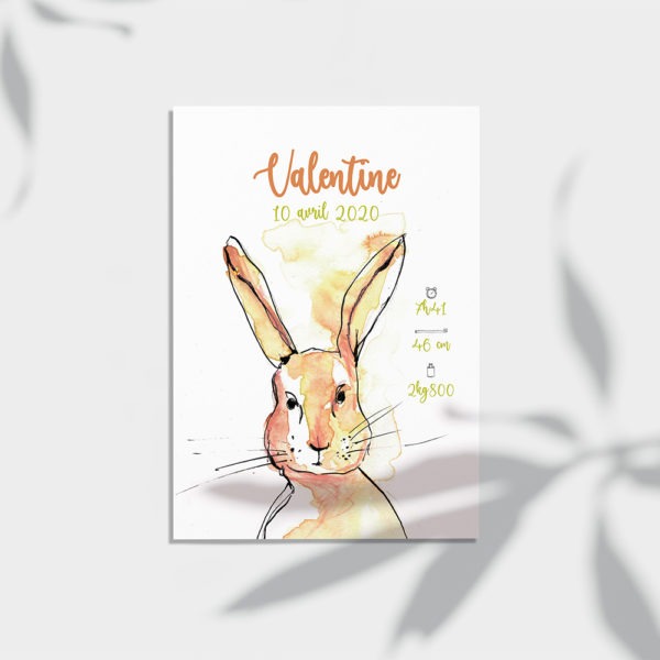 affiche naissance lapin