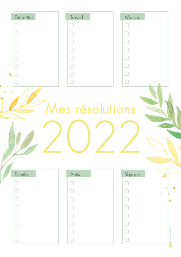 Résolutions 2022