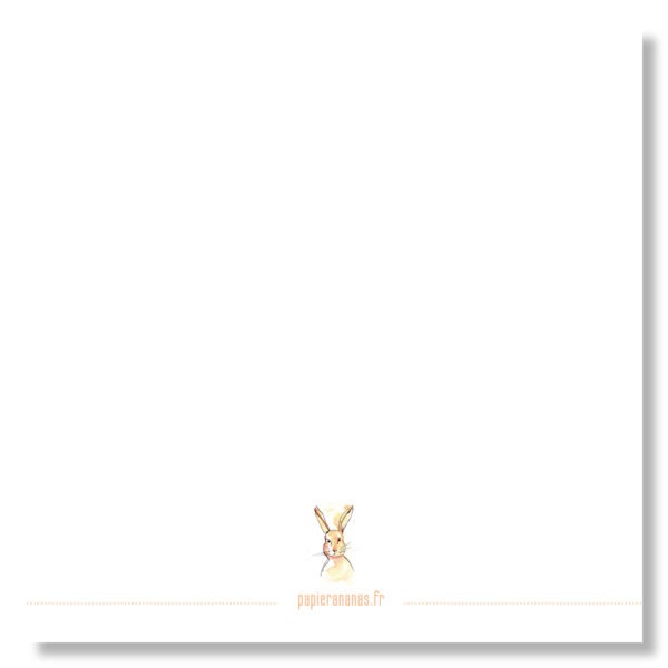 carte verso lapin papier ananas