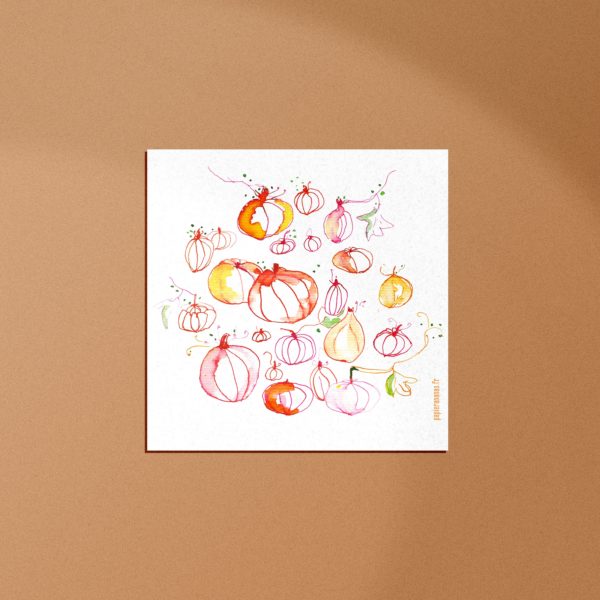 carte petites courges