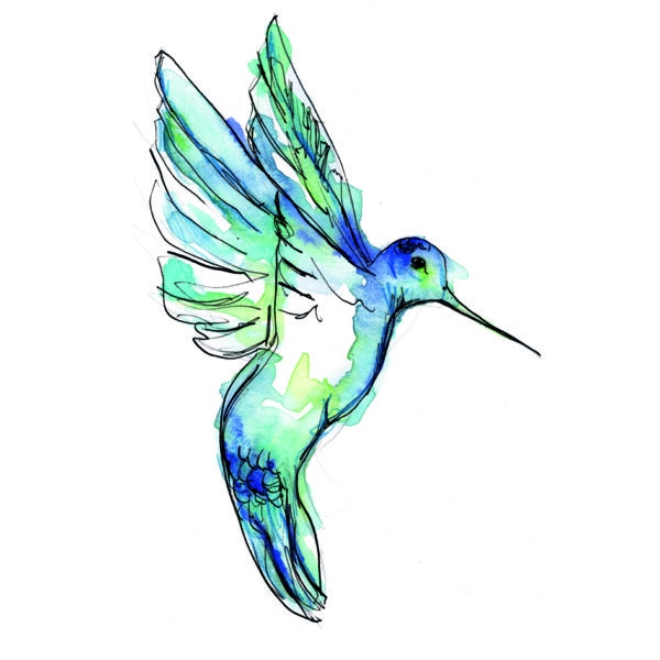 Colibri