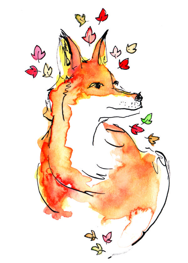 Doux renard