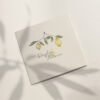 Faire-part mariage Collection Citron