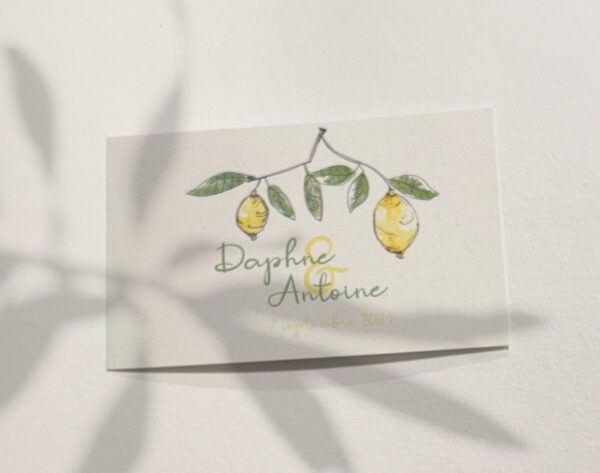 Carton réponse citron