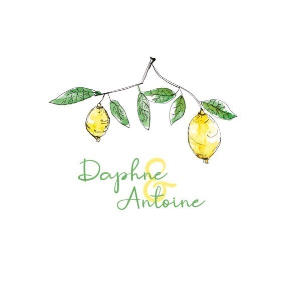 Faire-part citron couverture