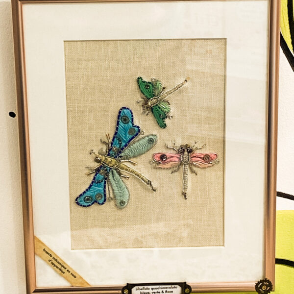 Libellula quadrimaculata bleue, verte & rose