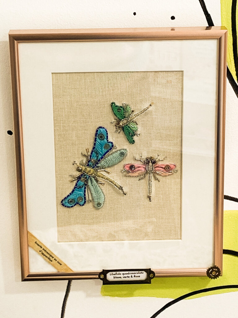 Libellula quadrimaculata bleue, verte & rose