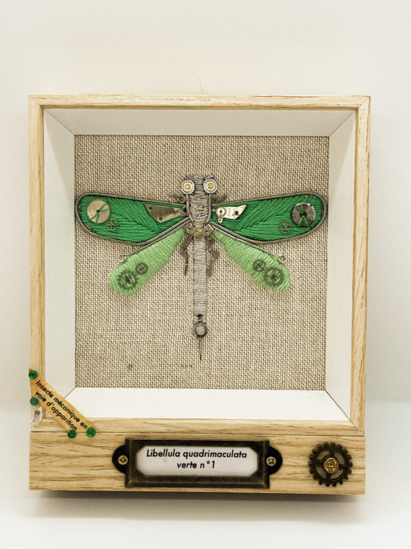 Libellula quadrimaculata verte n°1 Objets déroutés