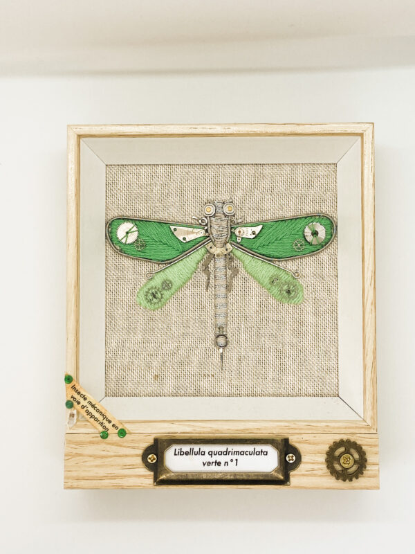 Libellula quadrimaculata verte n°1 Aude Millius