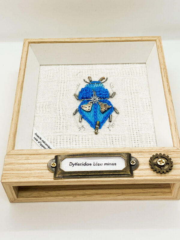 Dytiscidae bleu minus Objets déroutés