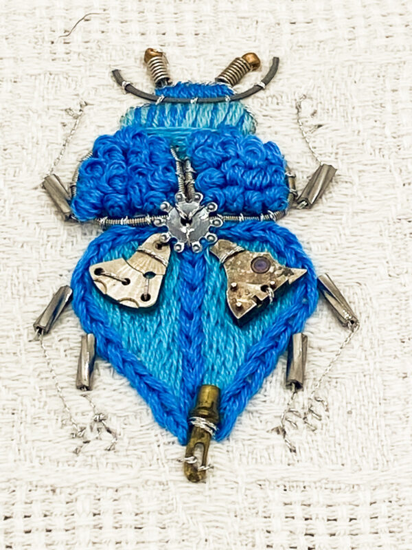 Dytiscidae bleu minus gros plan