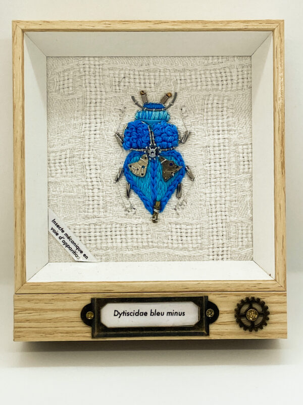 Dytiscidae bleu minus Aude Millius