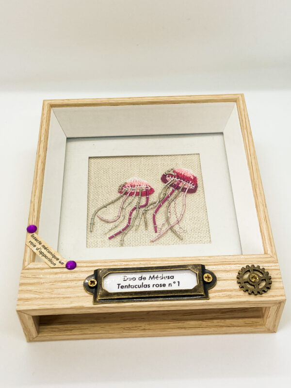 Duo de Médusa Tentaculas rose n°1 Objets déroutés