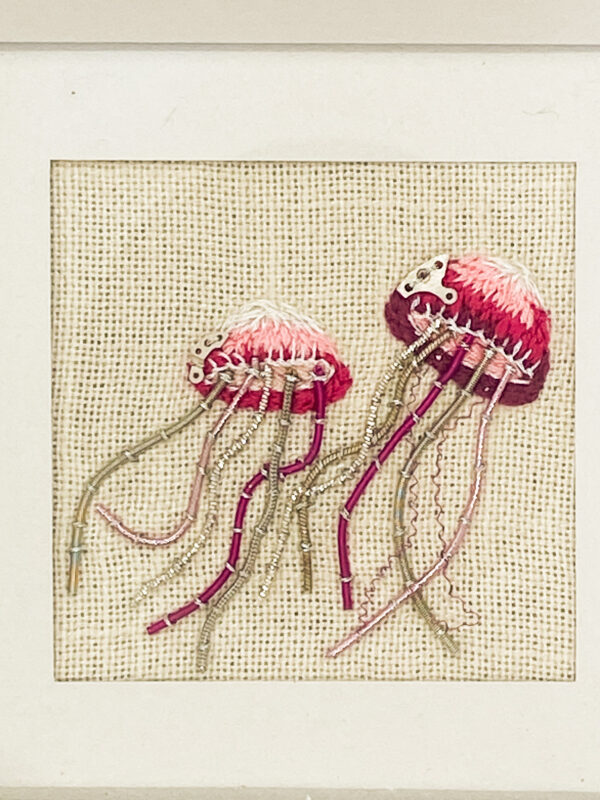 Duo de Médusa Tentaculas rose n°1 gros plan