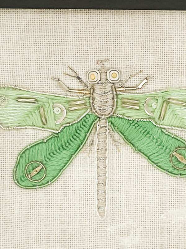 Libellila quadrimaculata verte n°2 gros plan