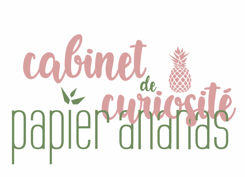 Cabinet de curiosités papier ananas