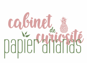 Cabinet de curiosités papier ananas
